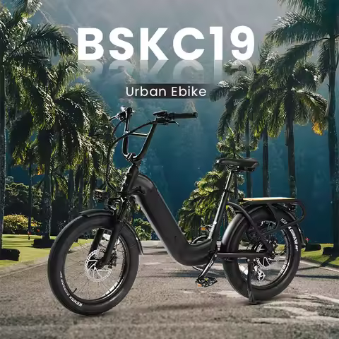 Rear Rack Electric Bike Rear Hub Motor 52V Electric City Bike 20-Inch Fat Tire Powerful Cargo E-Bike