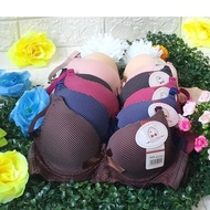 Women's Underwire Bra / Thick Foam / Striped Bra / Cup A / Hook 2 / 34-40