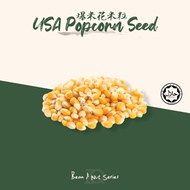 USA Popcorn Seeds 爆米花米粒 500g