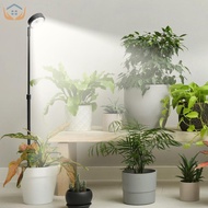 Height Adjustable Grow Lamp Full Spectrum Grow Light with 3/9/12H Timer Efficient LED Growing Light 