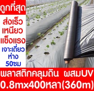 *ค่าส่งถูก* พลาสติกคลุมดิน 0.8ม.x400หลา(360ม) พลาสติกคลุมแปลง พลาสติกดำ/เงิน พลาสติกกันวัชพืช กันวัช