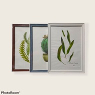 photo frame size a4 bingkai gambar saiz A4 cover depan kaca