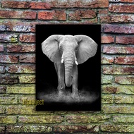 ELEPHANT POSTER - HOME DECORATION WALL DECORATION