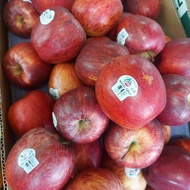 buah apel gala royal 1 kg