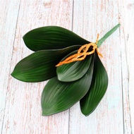 Daun anggrek latex / Daun Anggrek Artificial