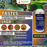Obat Pestisida Tanaman Lada / Obat Semut Buah Lada / Obat Jamur Layu Tanaman Lada / Obat Penyakit Ta