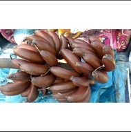 (Ready stock) 5kg Pisang Raja Udang 南洋红香蕉