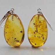 Baltic Amber Earrings with Insect Inclusion - Vintage Fossil Dangle