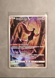 天地萬物 加勒爾急凍鳥 AR
