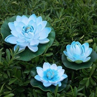 เมล็ดบัว 5 เมล็ด ดอกสีฟ้า ดอกใหญ่ ของแท้ 100% เมล็ดพันธุ์บัวดอกบัว ปลูกบัว เม็ดบัว สวนบัว บัวอ่าง Lotus seeds.