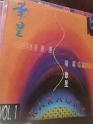 {CD 藏珍舖} 梅艷芳 呂方 張國榮 文佩玲 鄭少秋 譚耀文 杜德偉 許志安 ~華星原唱歌星卡拉ok LD