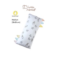 Baa Baa Sheepz Bed-Time Buddy - Medium (18x38 cm)