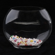 LazaraHome Flat Mouth Clear Mini Desktop Glass Fish Tank Aquarium Bowl Decoration 1