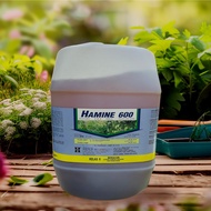 HALEX HAMINE 600 20Litter (Bahan Lebih Daripada CH AMINE 48) RACUN RUMPAI/RUMPUT amine60%
