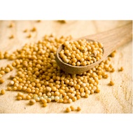 Mustard Seed 100g