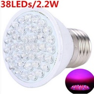 Led GROW LIGHT.