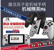 Switch 手掣 joycon