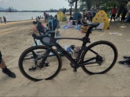 Twitter 公路車碳架，可換fixed gear