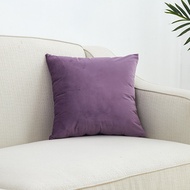 Superfine Velvet Cushion Cover 50x50/60x60/50x70cm Solid Nordic Throw Pillow Case Big Size Decorativ