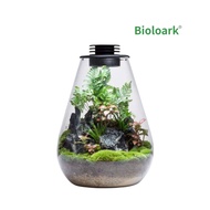Bioloark terrarium (Bio Bottle LED SD) รูปทรงหยดน้ำ เทอร์ราเรียม สวนขวด ตู้ไม้ชื้น     รุ่น SD175  S