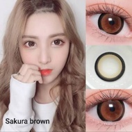 คอนแทคเลนส์ Sakura Brown สายตา -50 ถึง -1000