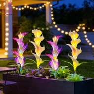 OCEANMAP 2pcs Solar Garden Light, Automatic Color Changing Colorful LED LED Garden Light, Waterproof