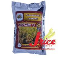 ready BENIH PADI SERTANI 13A BIBIT PADI UNGUL KEMASAN 1KG