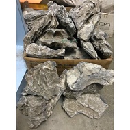 Dragon Stone Seiryu 青龙石 [Aquarium Stone / Aquascape / Batu Aquarium] Aquarium Stone Aquarium Rock