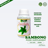 WellnessGem Sambong Capsule Herbal 100s 30s All Natural Organic Safe Food Supplement Prevents Kidney