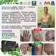 HOSANNA Moringa Oleifera 2 Boxes x 30sachet x 25ml  Organic 辣木皇 maxpine moringa elixir Moringa Berry