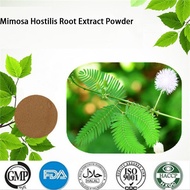 20: 1 Natural Best price Mimosa Hostilis bark root extract powder 100g-1000g