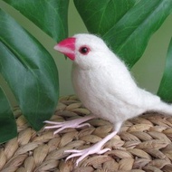 文鳥　白文鳥　鳥　Java sparrow　羊毛フェルト