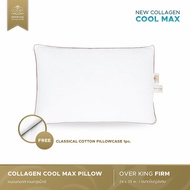 Luxury 6 Star Hotel Pillow Collagen Overking Firm Model