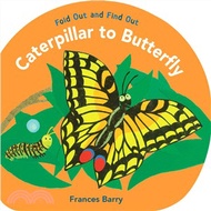 66914.Caterpillar to Butterfly