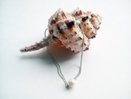 十四吋淡水珍珠項鍊100%自家設計系列-Sea Breeze