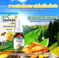 (1ขวด)สเปรย์โพรโพลิซ+กระชายขาว ส่งไว-ส่งด่วน-ส่งทันที-ไม่รีรอ-Krachai Propoliz Mouth Spray (15 ml.)(หมดอายุ02-04-2025)