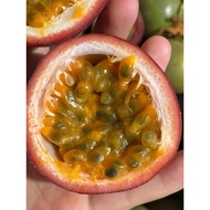 2kg passion fruit