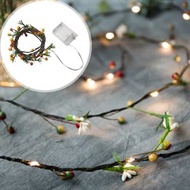 其他品牌 - 手工Berry燈串 花環燈電池供電 臥室燈串 LED 燈 橙色綠色漿果 家居裝飾 LED花雜果銅線燈條 節日佈置 浪漫氣氛 2米長 插電芯即用 擺飾