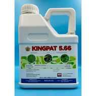 Kingpat 4 Liter Glufosinate-Ammonium 5.66% (Same As Buick 5.66 Rainpat 566 Tepat) Racun Rumpai Rumpu