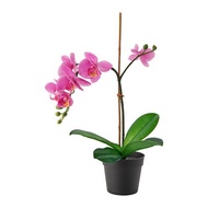 UNGU FEJKA Decorative Synthetic Plant 9cm Purple Orchid Artificial Plant