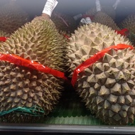 Durian Musang King Fresh utuh durian terbaik Promo 1.4 kg s/d 1.8 kg