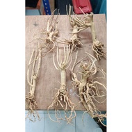 driftwood roots stems for aquarium decoration jungle and nature