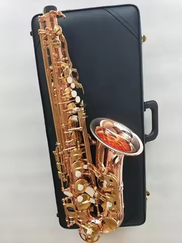 new Musical Instrument Alto A-WO20 Eb Saxophone Brass Gold key Sax Professional 2026