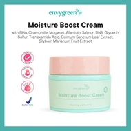 MOISTURE BOOST CREAM / ENVYGREEN SKINCARE