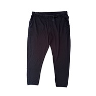 The North Face icebreaker pants
