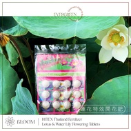 【Lotus Flowering Fertilizer】荷花专用开花肥料 Baja Khas Bunga Teratai (12 Tablets) - Hitex Thailand Fertiliser for Water Lily