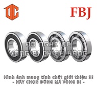 FBJ Bearing 6205 6803 6201 6302 6306 6006 6902 6900 6206 6303 6807 6804 6305 6907 6300 6004 6901 601