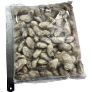 1KG WITH ICE | SIZE 9-11 | TAIWAN FROZEN OYSTER MEAT | ISI OYSTER TAIWAN | 台湾冷冻生蚝肉