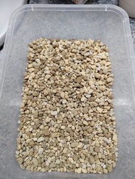 多肉植物專用顆粒土