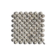 Beaded Gemstone Coaster - Dalmatian Jasper